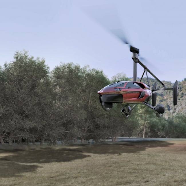 Pal V Flying Car Flight Academy Type Rating 2
