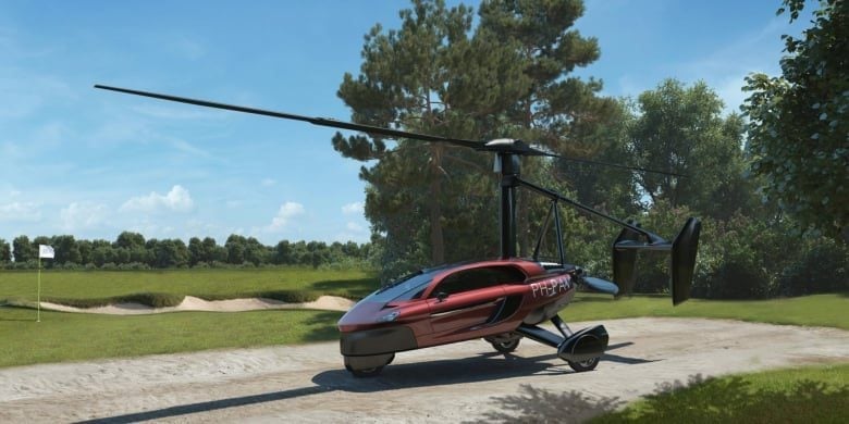 Pal V Flying Car The Fastest Way To Become A Pilot