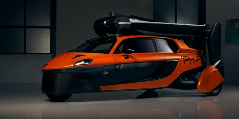 Pal V0919