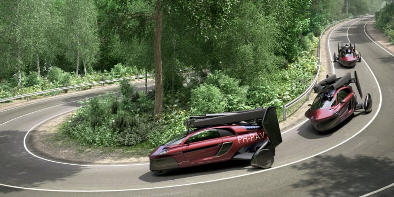 Pal V Flying Car Experience Sports Car Driving